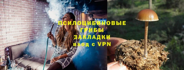 прущие грибы Каменка