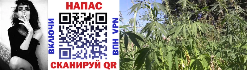 купить   Кодинск  МАРИХУАНА VHQ 